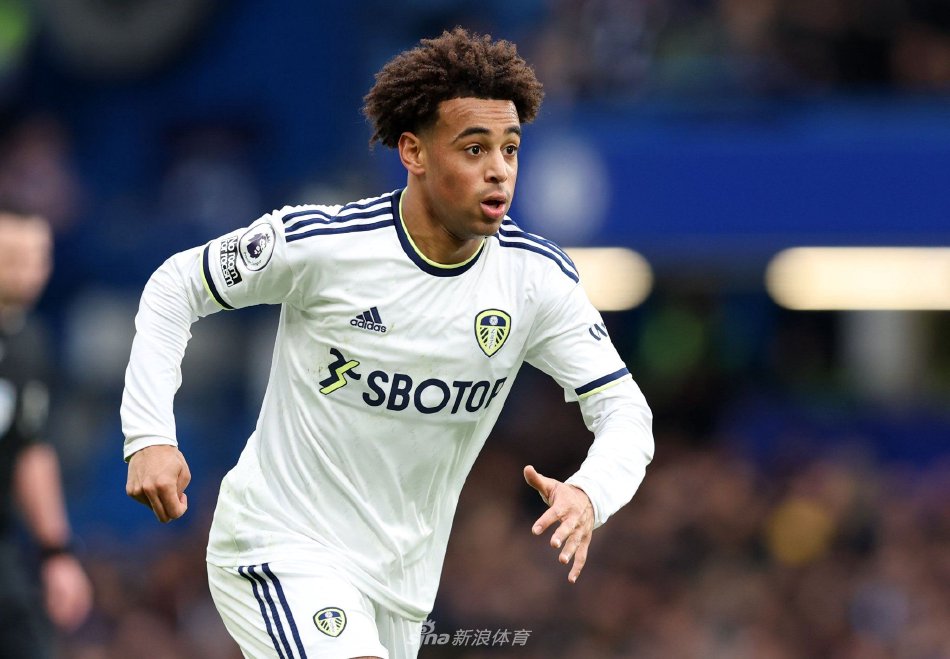 多点开花 多点开花